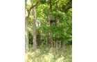 Property photo 9 - AUCTION CANCELLED TONIGHT!! SOLD Prior to Auction! 84+/- Acres Offered in 4 Tracts